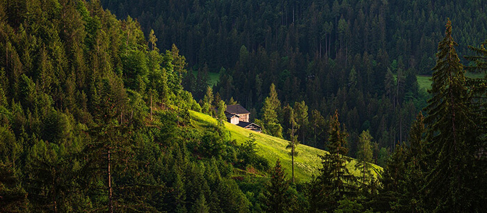 Kreisjagdverband Oberallgäu Aktuelles Fortbildungen