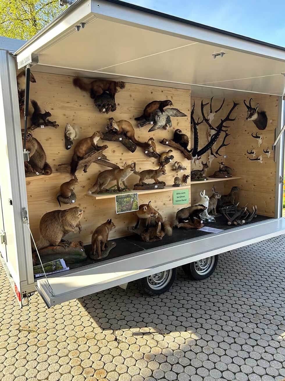 Kreisjagdverband Oberallgäu Präparate Mobil