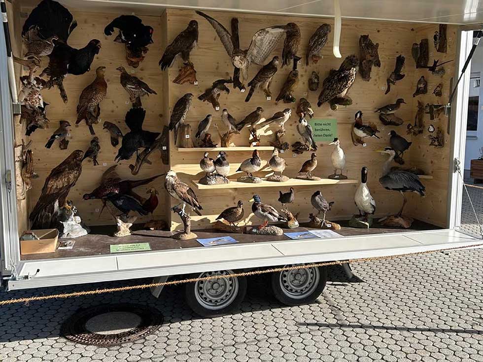 Kreisjagdverband Oberallgäu Präparate Mobil