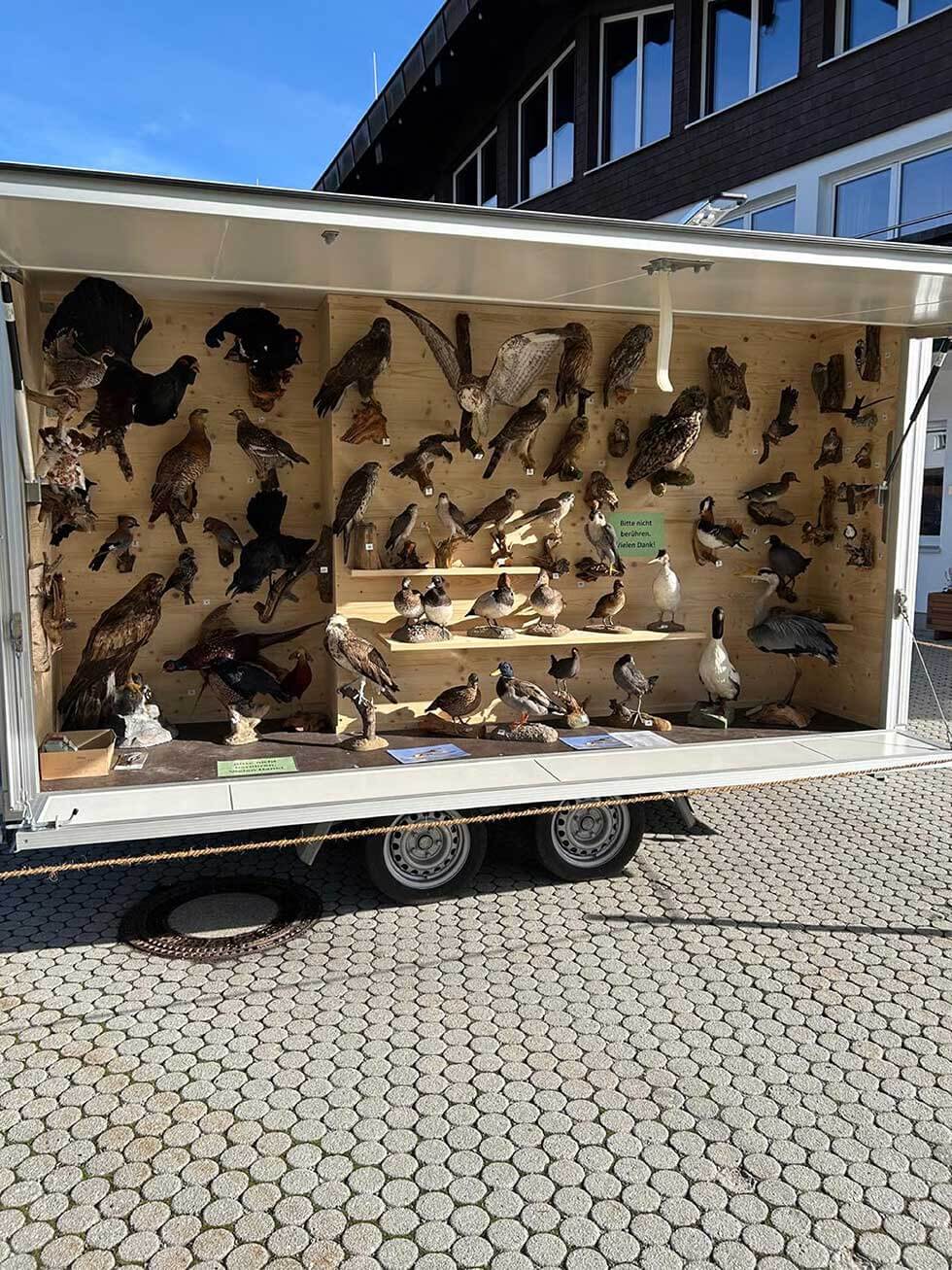 Kreisjagdverband Oberallgäu Präparate Mobil