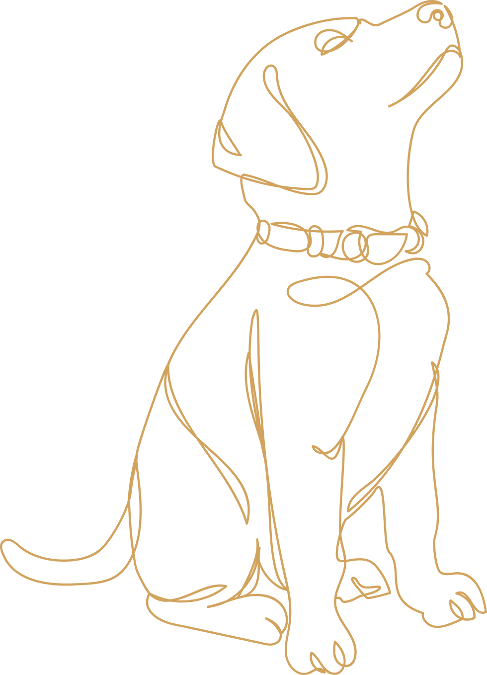 Kreisjagdverband Oberallgäu Vektor Hund